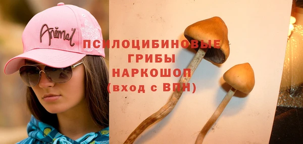 круглые Аркадак