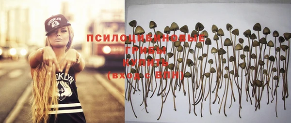 прущие крисы Алексеевка