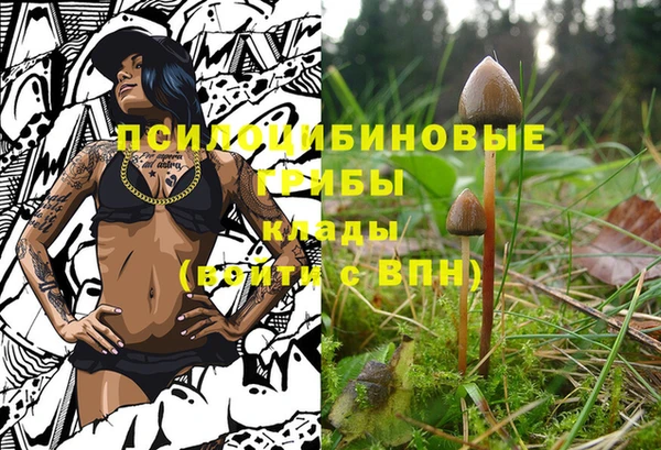 круглые Аркадак