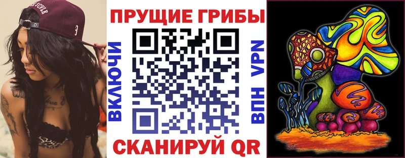 Псилоцибиновые грибы мухоморы  Купить закладки  Бугульма 